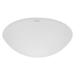 Ersatzglas für RS 100 S