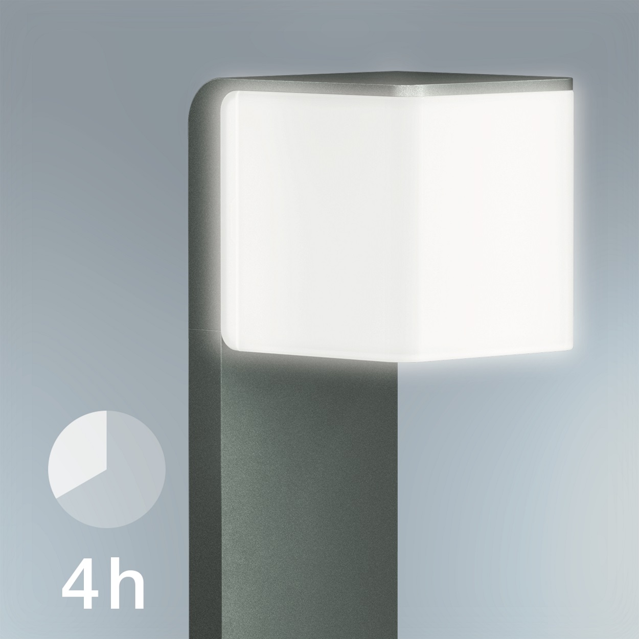 4 Stunden Dauerlicht (optional)