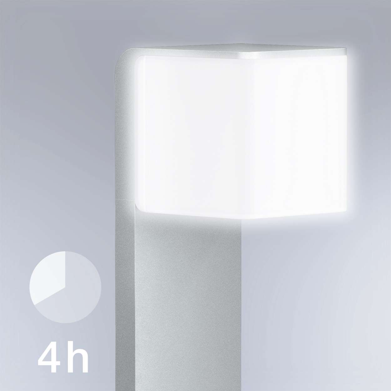 4 Stunden Dauerlicht (optional)