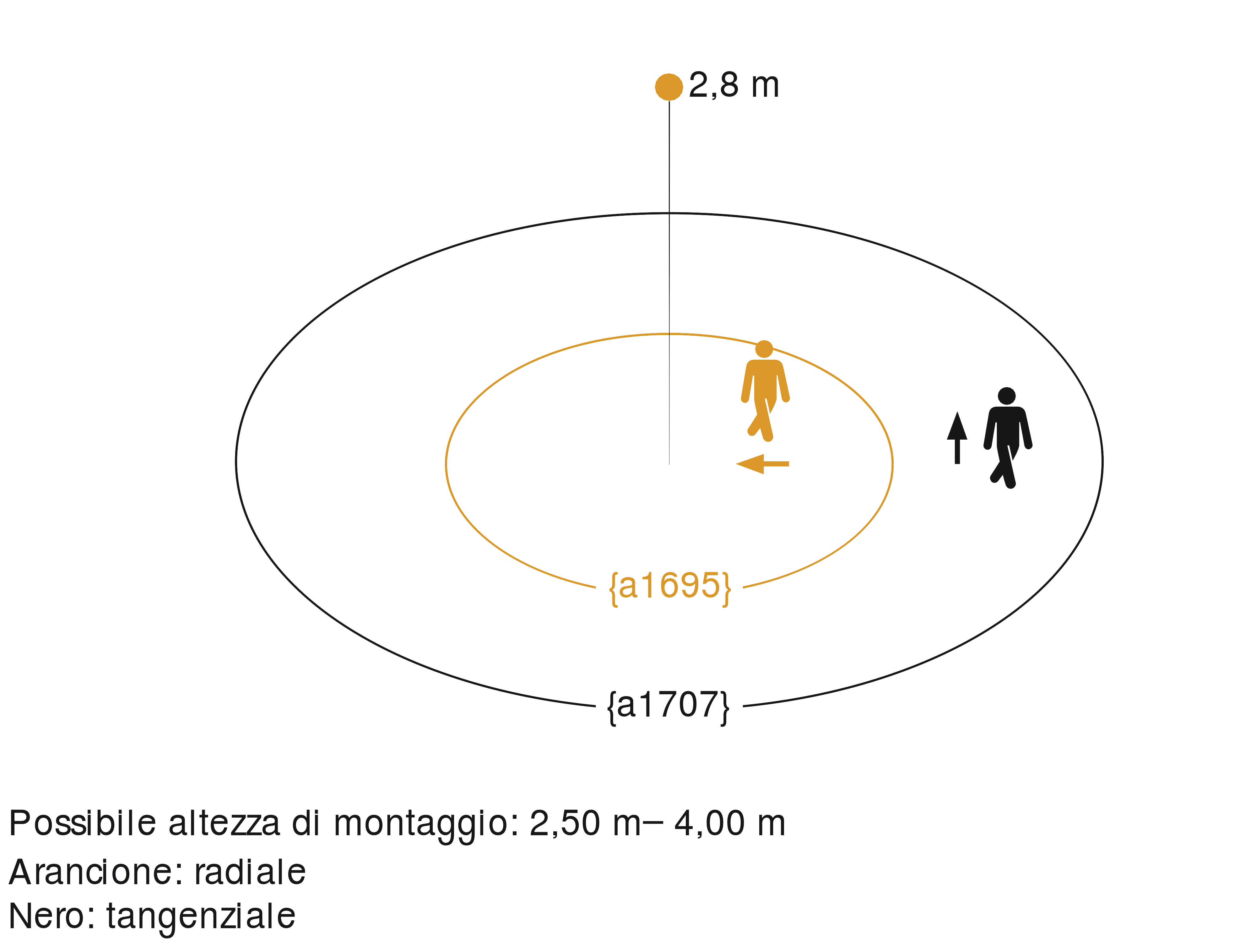 Zona di rilevamento