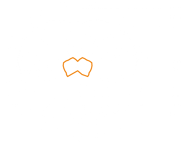 XLED PRO 240 schwarz